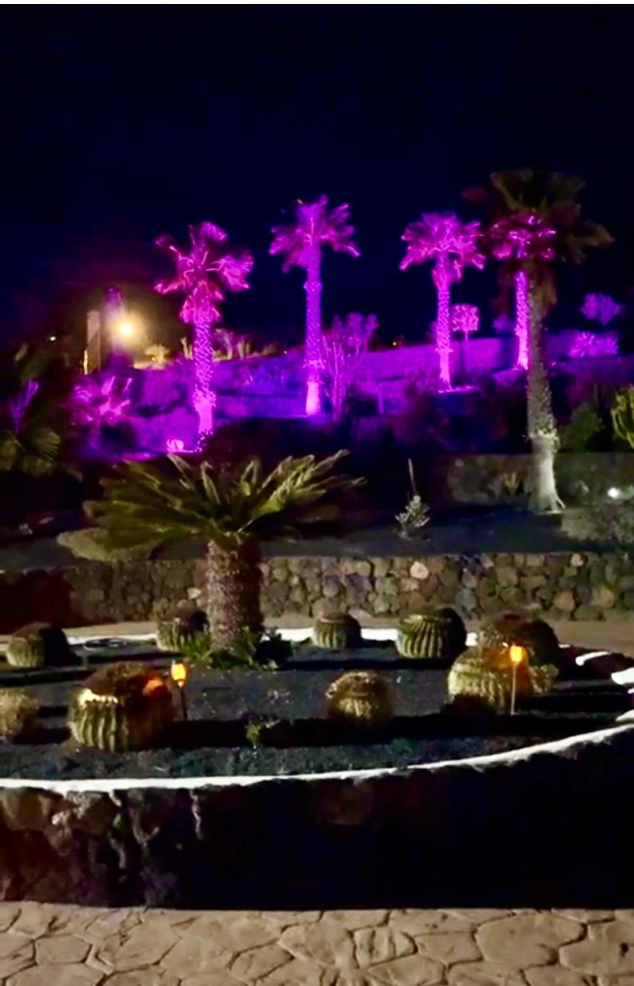 Castillo Lanzarote Villa Bailey - Luxury Villa - Pet Friendly With Heated Pool La Asomada  Dış mekan fotoğraf