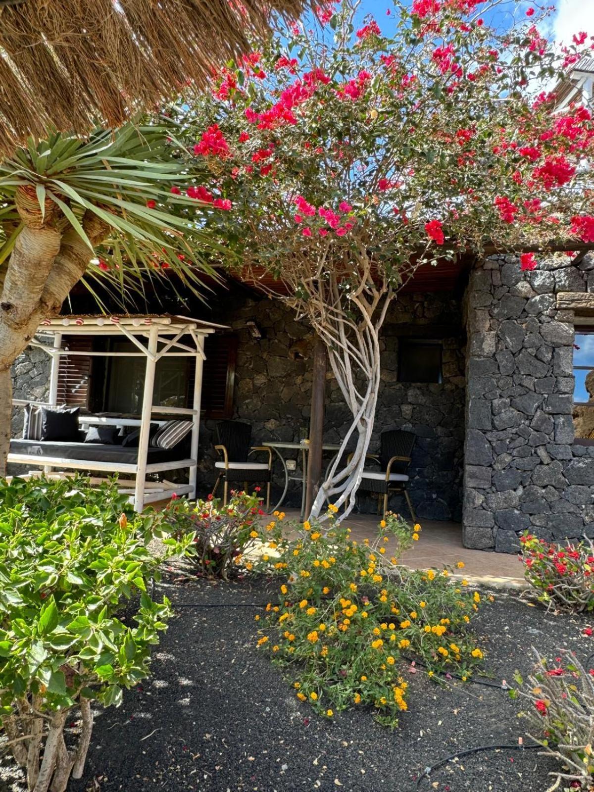 Castillo Lanzarote Villa Bailey - Luxury Villa - Pet Friendly With Heated Pool La Asomada  Dış mekan fotoğraf