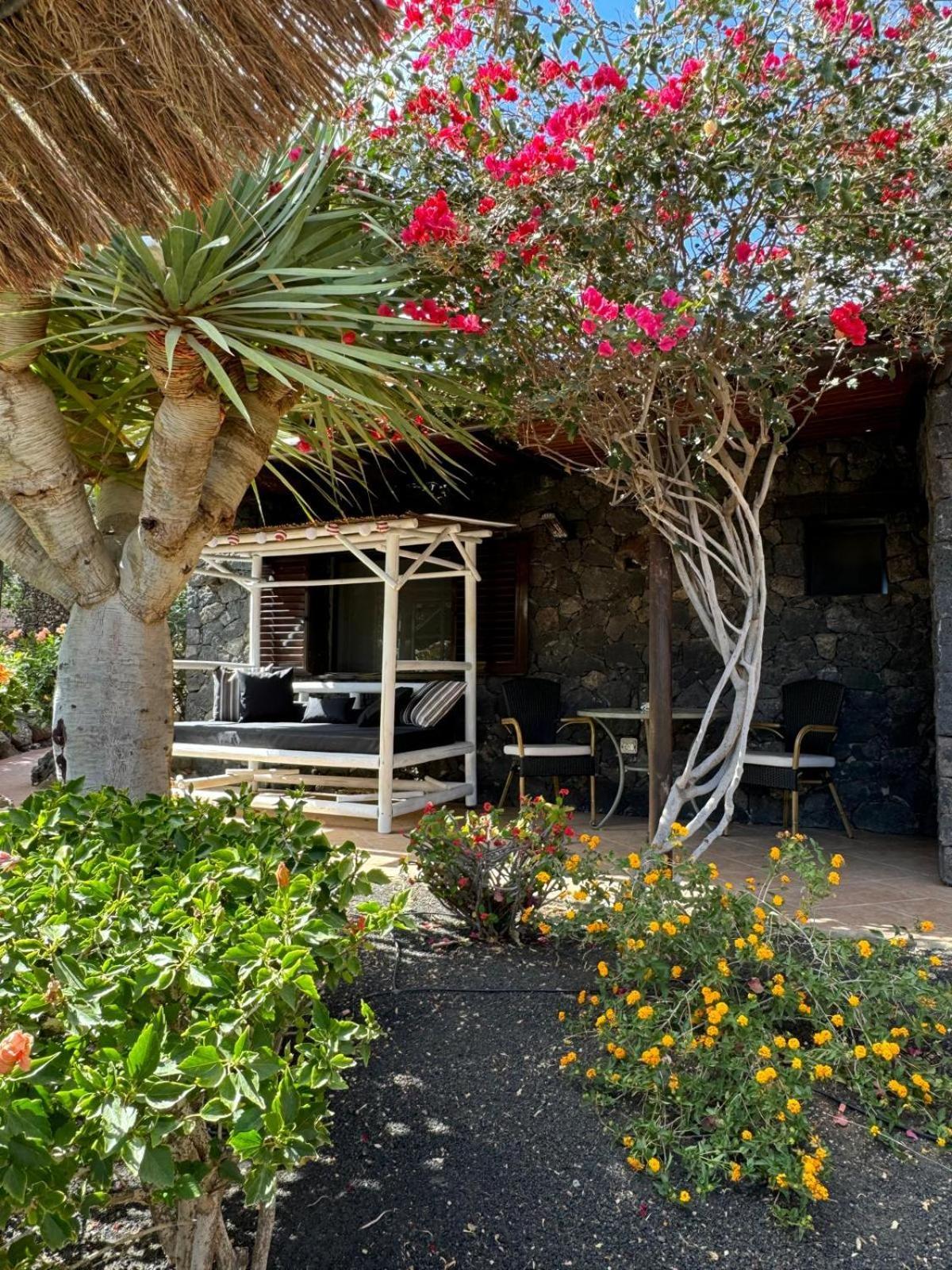 Castillo Lanzarote Villa Bailey - Luxury Villa - Pet Friendly With Heated Pool La Asomada  Dış mekan fotoğraf
