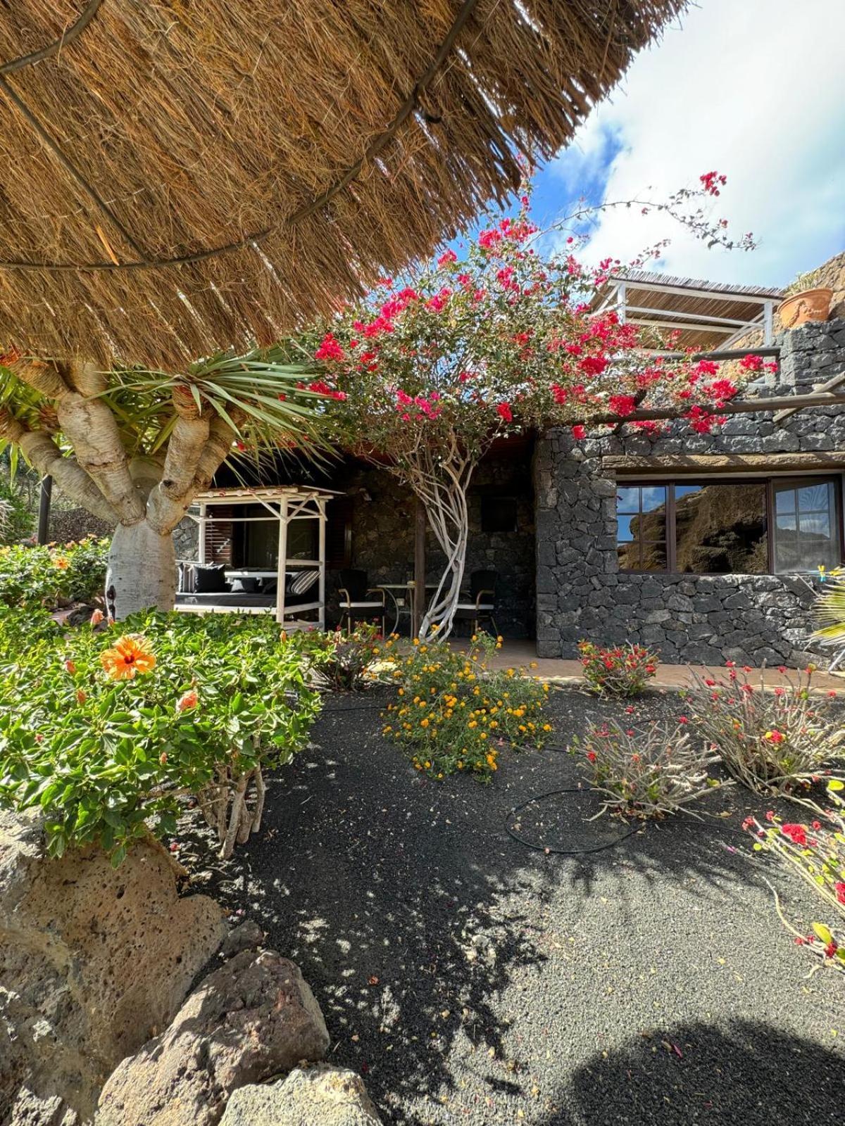 Castillo Lanzarote Villa Bailey - Luxury Villa - Pet Friendly With Heated Pool La Asomada  Dış mekan fotoğraf