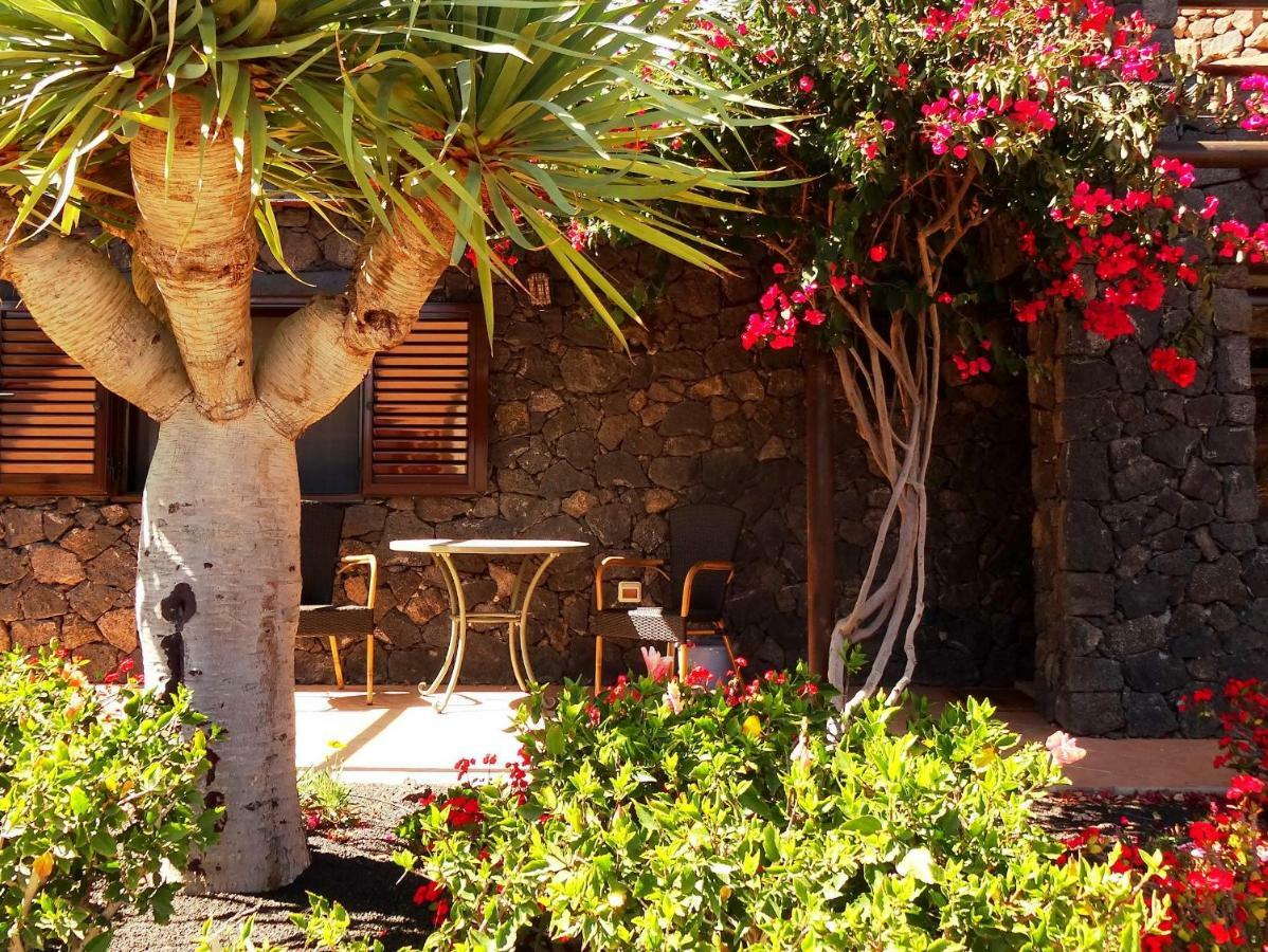 Castillo Lanzarote Villa Bailey - Luxury Villa - Pet Friendly With Heated Pool La Asomada  Dış mekan fotoğraf